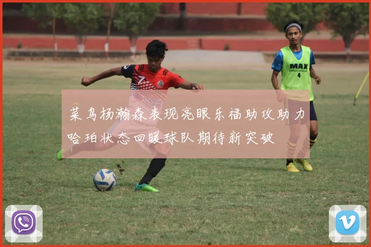 菜鸟杨瀚森表现亮眼乐福助攻助力哈珀状态回暖球队期待新突破