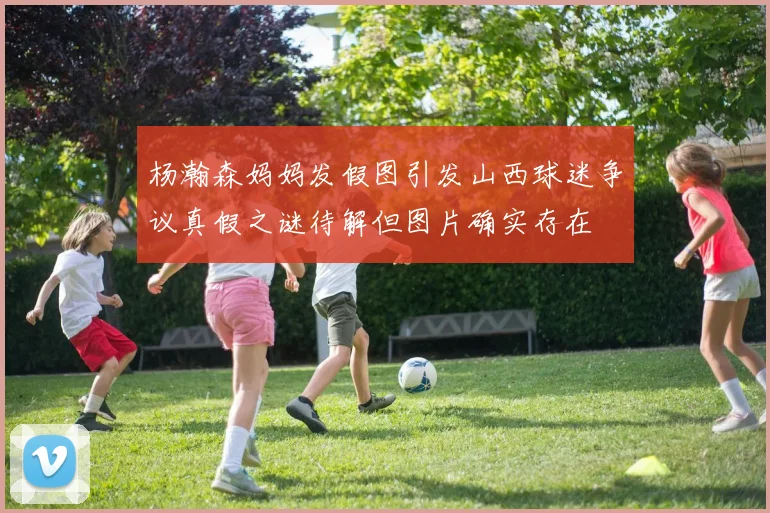 杨瀚森妈妈发假图引发山西球迷争议真假之谜待解但图片确实存在