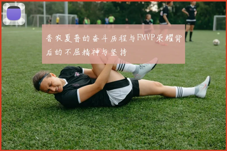香农夏普的奋斗历程与FMVP荣耀背后的不屈精神与坚持